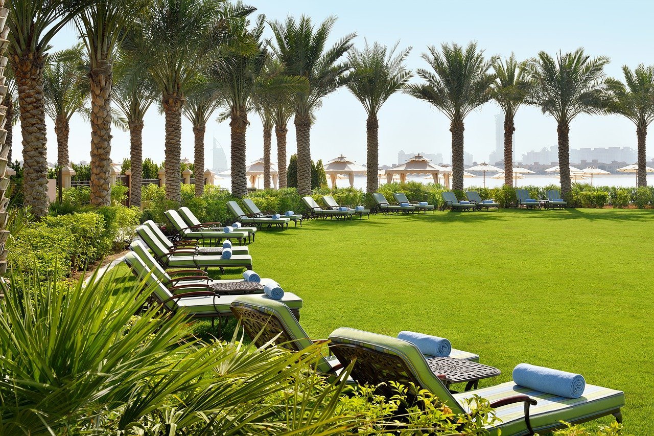 Finding Your Perfect Stay: Neaarme’s Hotel Booking Service